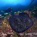 ray_marble_vr_ci_h_0164_cos3324.jpg